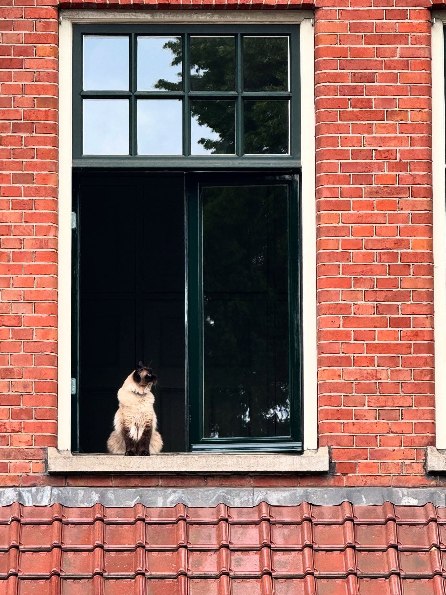 Brick facade and tall window
